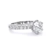 antigoni-six-prong-tulip-cathedral-pave-round-engagement-ring-white-gold-side